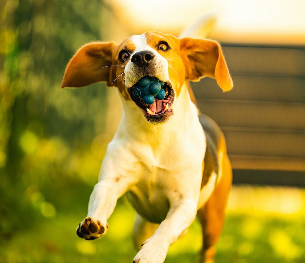 Don’t Forget the Fun Part